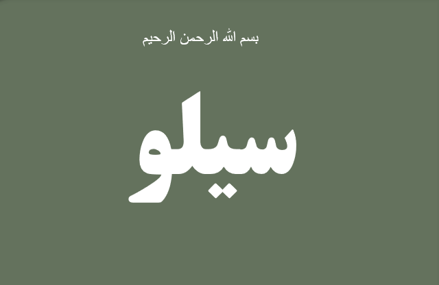 دانلود-پاورپوینت-سیلو